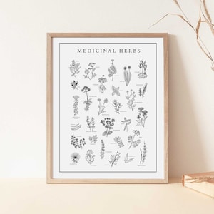 8x10 Heilkraut Digitaldruck Download | Handgezeichnete Kräuter |  Alternativ Medizin Poster | Heilkräuter-Wand-Dekor | Ganzheitliche Gesundheit