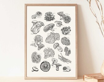 Mushroom Printable Wall Art | Fungi Wall Decor and Foraging Gifts | Cute Fungi Poster | Minimalist Mushroom Decor