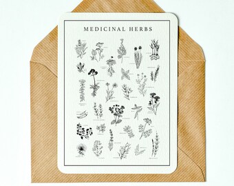 4x5 Hand Drawn Medicinal Herbs Digital Get Well Soon Card | Gifts for Herbalists & Foragers | Alternative Medicine Cards for Botanists