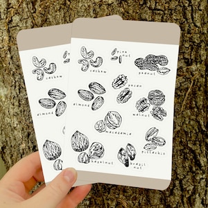 Hand-Drawn Nut Doodles Sticker Sheet | 4x6 Digital Download | Nuts Digital Download Sticker Sheet | Foraging Stickers | Food Stickers | Nuts