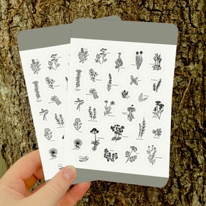 Folha de adesivos 4x6 com ervas medicinais desenhadas à mão para download digital | Cura Herbal: Adesivos de ervas medicinais com rabiscos e desenho de linhas para remédios herbais