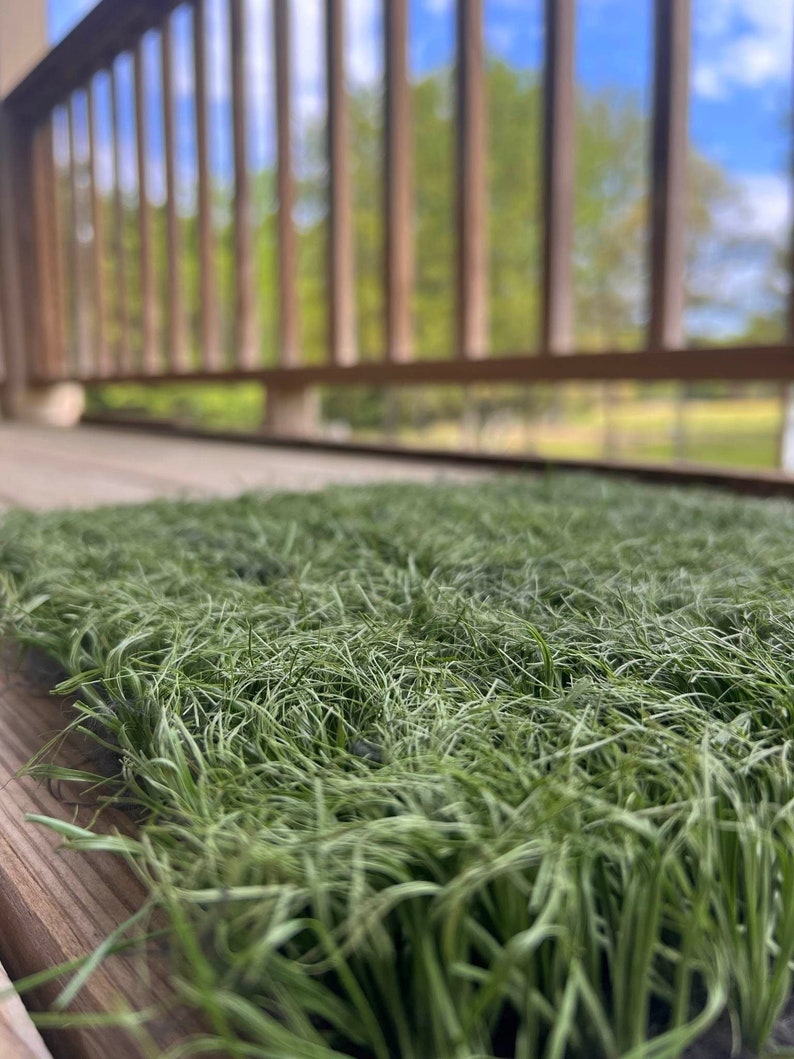 Recycled Artificial Grass Etsy