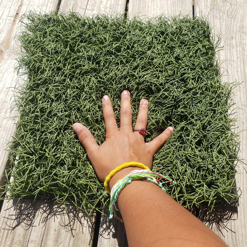 Recycled Artificial Grass Etsy