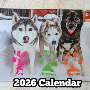 Op de afbeelding: Een 2026-kalender met drie Siberische husky's in een besneeuwde omgeving. Elke hond heeft gekleurde pootafdrukken voor zich, met de namen Kira, Memphis en Eleanor. De kalender heeft een witte achtergrond.