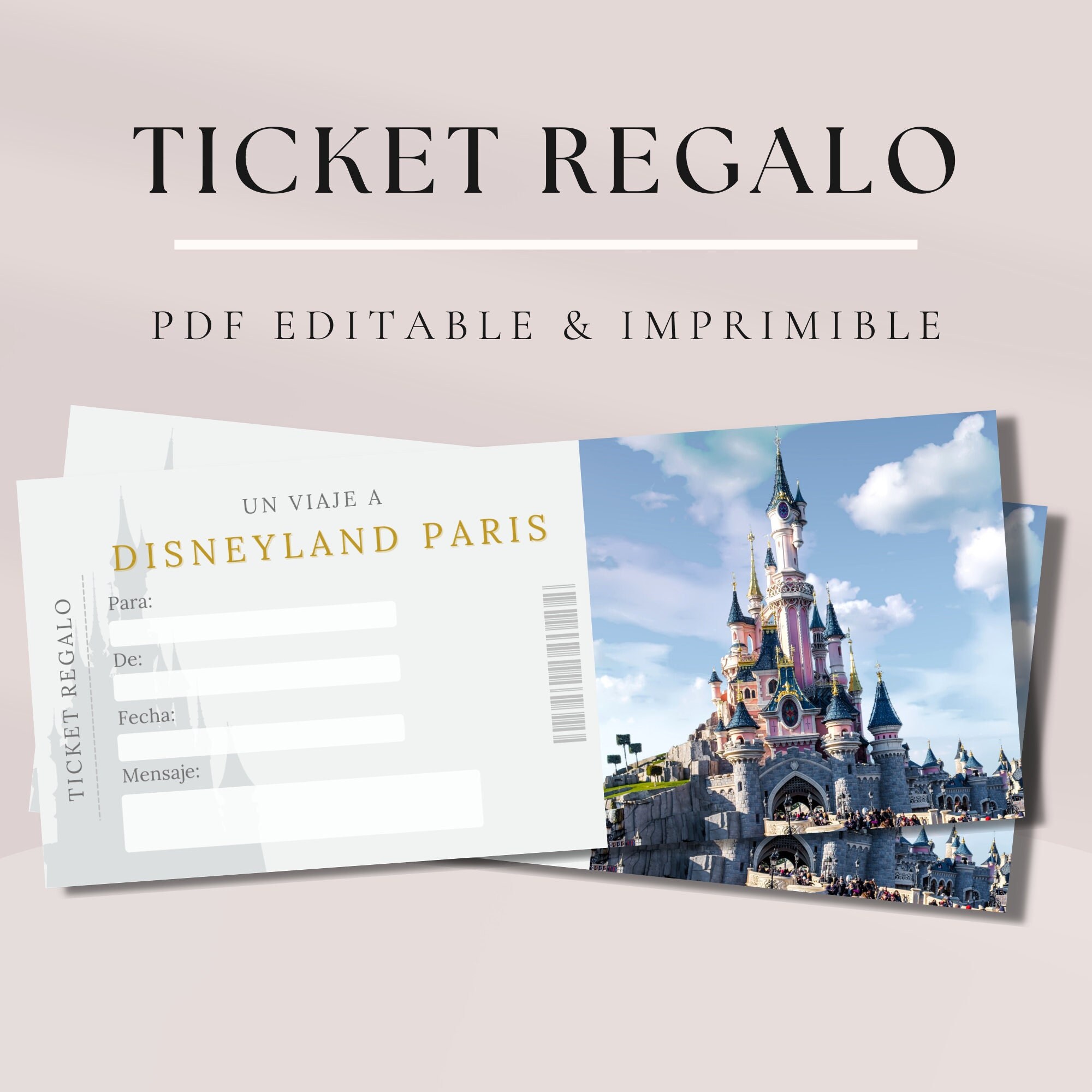 Con Penetración Palacio Ticket Regalo Imprimible Disneyland Paris. Viaje Sorpresa. - Etsy