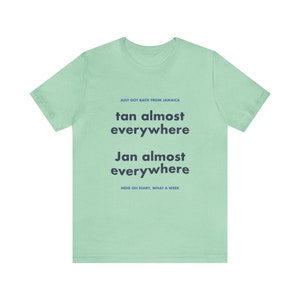 The Office Funny TShirt - Tan Almost Everywhere Jan Almost Everywhere - Michael Scott Diary Shirt