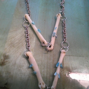 Coyote Bone w/ Turquoise necklace 2 rows