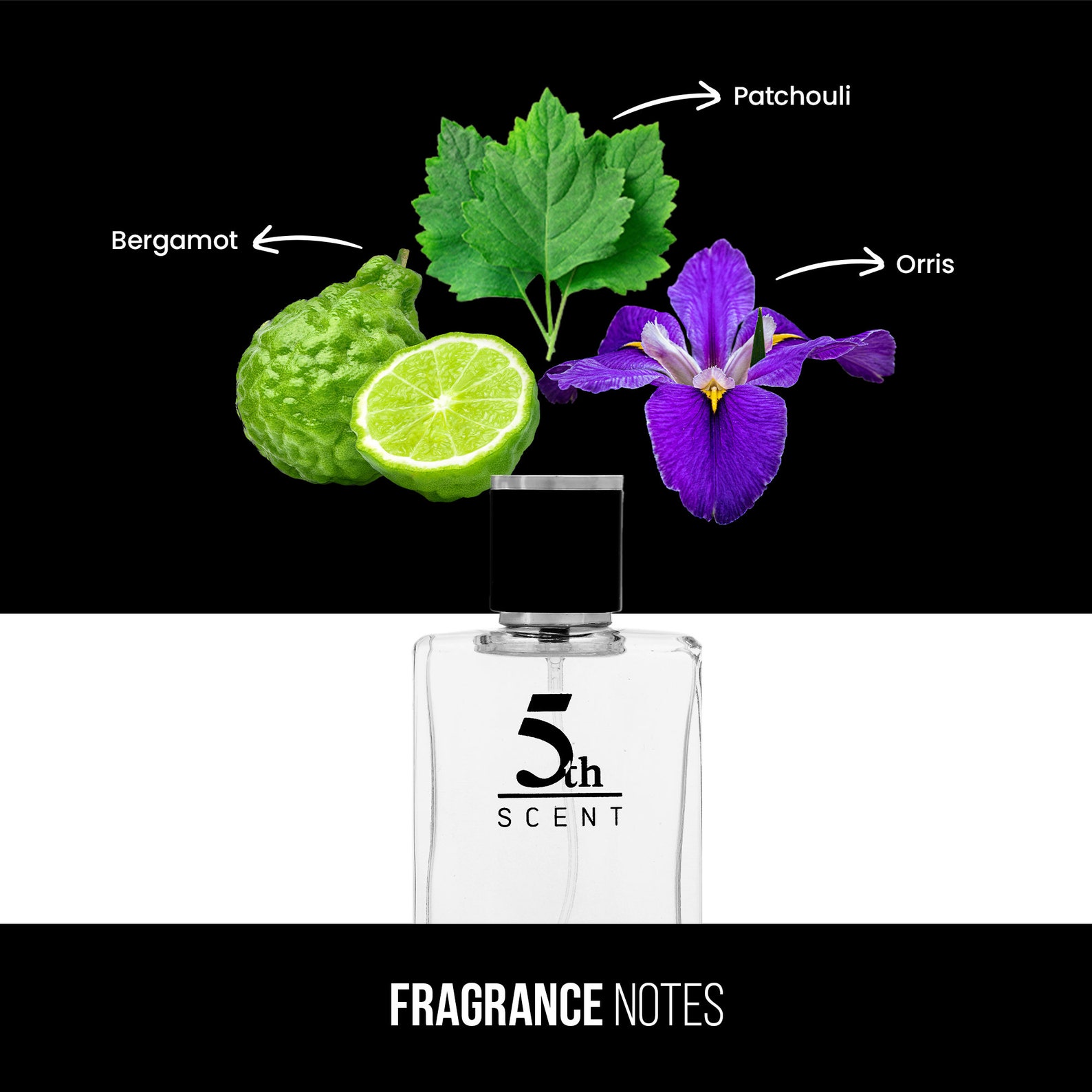 5th Scent Perfume for Men M99 Combining Notes of Citrus Fresh Iris