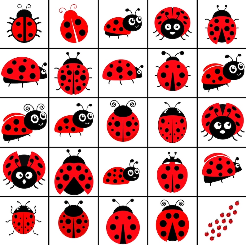 May include: A collection of 36 red and black ladybugs with various designs and poses. The ladybugs are arranged in a grid pattern on a white background.