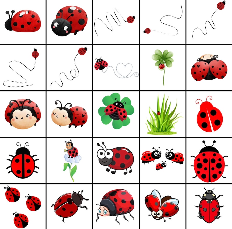 May include: A digital illustration of a variety of ladybugs in different poses and settings. Some ladybugs are flying, some are crawling, and some are sitting on leaves or flowers. The ladybugs are all red with black spots.