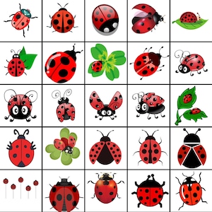 May include: A collection of 25 red and black ladybugs with various designs and poses. Some ladybugs are flying, some are crawling, and some are sitting on leaves.