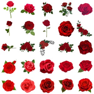 45 images: Rose, Red Rose, Flower, Red Flowers Clipart/PNG ONLY Bundle, Digital, Instant Download, Ukiyo Designs