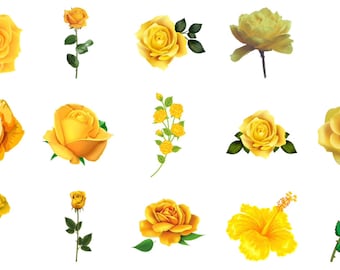 Yellow Rose, Flower, Floral, Elegant, Romance, Botanical PNG ONLY | Printable Clipart | Sublimation | Instant Digital Download