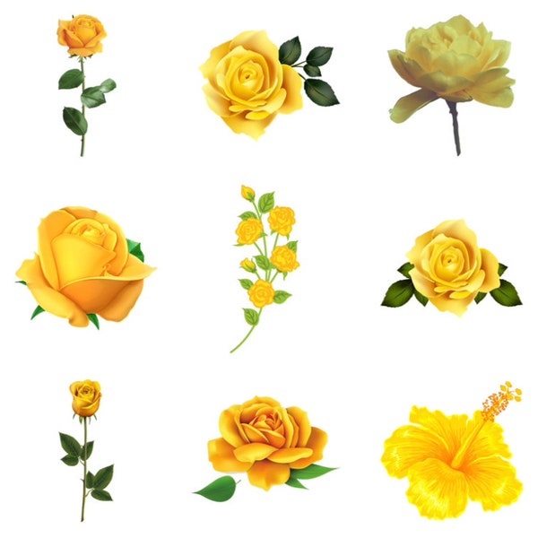 15 images: Rose, Yellow Rose, Flower, Yellow Flowers Clipart/PNG ONLY Bundle, Digital, Instant Download, Ukiyo Designs