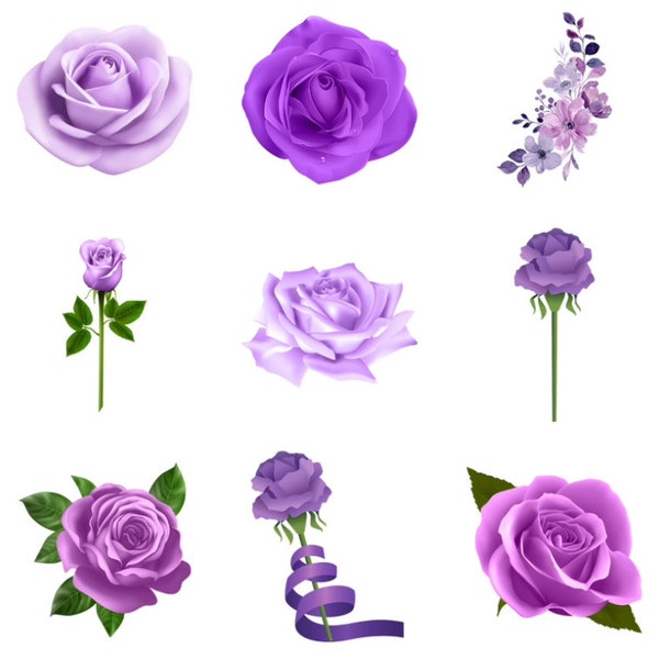 30 images: Rose, Purple Rose, Flower, Purple Flowers Clipart/PNG ONLY Bundle, Digital, Instant Download, Ukiyo Designs