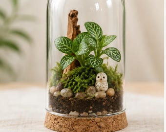 Mini Glass Terrarium Kit | Tiny Indoor Garden with Cork Base