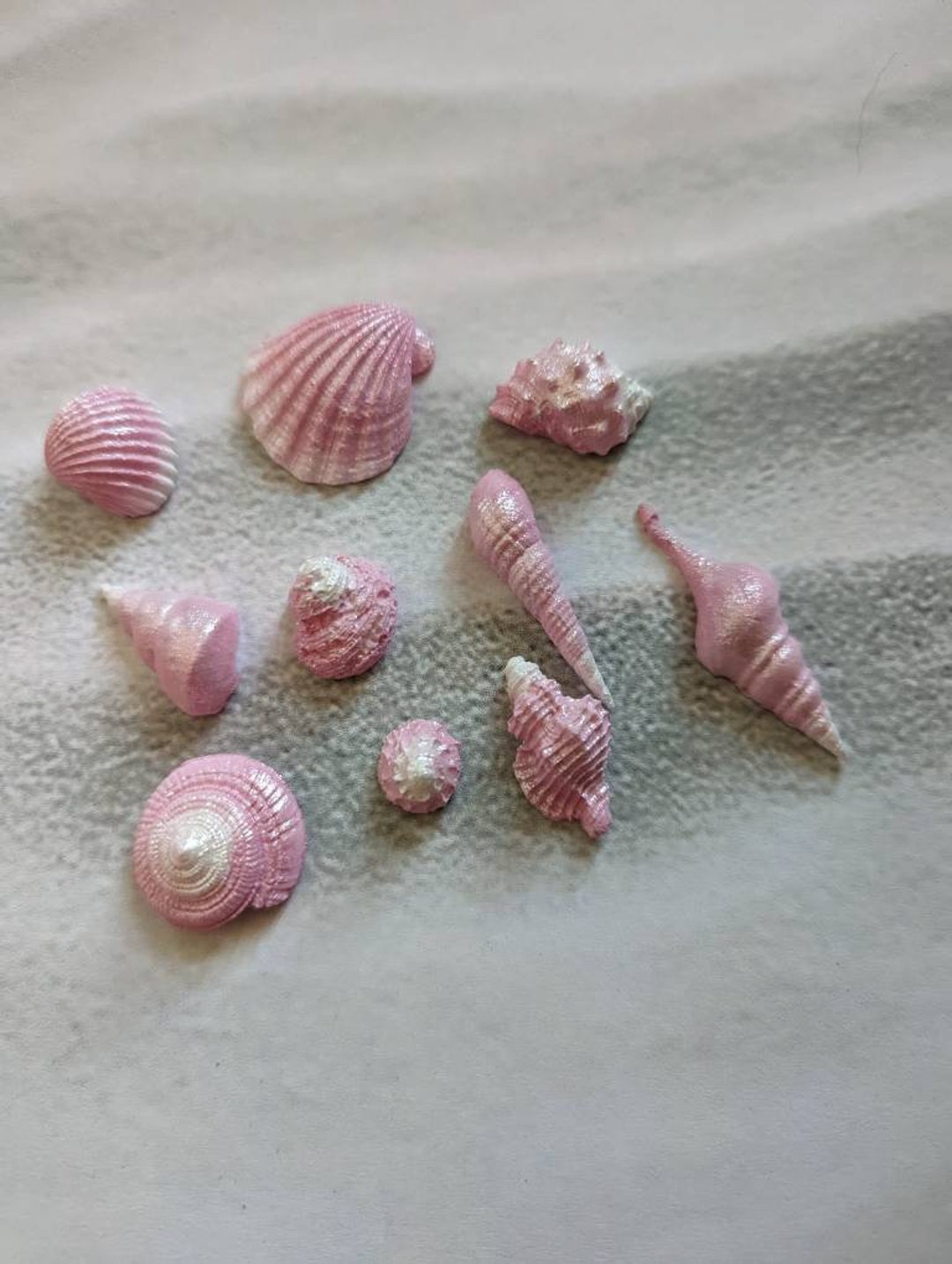 Set of 10 Edible Shells. Pastel Pink Cake Decorations - Etsy UK