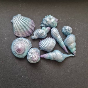 Set if 10 teal/purple edible sea shells