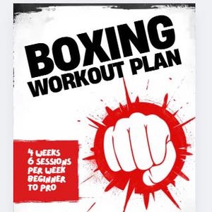 ボクシングフィットネスプラン