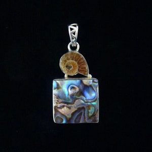 Ammonite Necklace Fossil Pendant Fossil Jewelry Ocean Jewelry Prehistoric Artifact Fossil Art Shell Cyber Sale Dinosaur