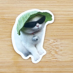 Lettuce Hat Cat Meme Sticker, Funny Cat Sticker, Funny Waterproof Sticker Decal For Laptop, Luggage, Water Bottle, Phone Case