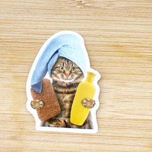 Self Care Cat Meme Sticker, Funny Cat Sticker, Funny Waterproof Sticker Decal For Laptop, Luggage, Water Bottle, Phone Case