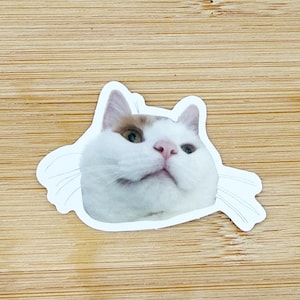 Funny Cat Face Meme Sticker, Funny Cat Sticker, Funny Waterproof Sticker Decal For Laptop, Luggage, Water Bottle, Phone Case