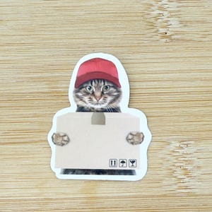 Cat with Box Meme Sticker, Funny Cat Sticker, Funny Waterproof Sticker Decal For Laptop, Luggage, Water Bottle, Phone Case