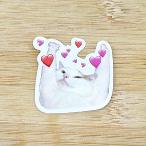 Hearts Cat Meme Sticker, Funny Cat Sticker, Funny Waterproof Sticker Decal For Laptop, Luggage, Water Bottle, Phone Case
