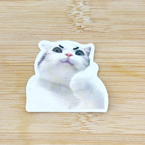 Thumbs Up Cat Meme Sticker, Funny Cat Sticker, Funny Waterproof Sticker Decal For Laptop, Luggage, Water Bottle, Phone Case