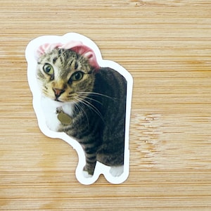 Cat Wearing Bonnet Meme Sticker, Funny Cat Sticker, Funny Waterproof Sticker Decal For Laptop, Luggage, Water Bottle, Phone Case