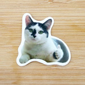 Thumbs Up Cat Meme Sticker, Funny Cat Sticker, Funny Waterproof Sticker Decal For Laptop, Luggage, Water Bottle, Phone Case