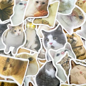Set of 8 RANDOM Cat Meme Stickers, Funny Cat Sticker, Funny Waterproof Sticker For Laptop, Luggage, Water Bottle, Phone Case