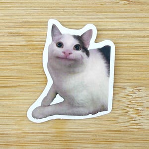 Smirk Cat Meme Sticker, Funny Cat Sticker, Funny Waterproof Sticker Decal For Laptop, Luggage, Water Bottle, Phone Case