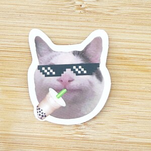Cool Cat Meme Sticker, Funny Cat Sticker, Funny Waterproof Sticker Decal For Laptop, Luggage, Water Bottle, Phone Case