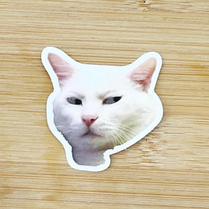 Side Eye Cat Meme Sticker, Funny Cat Sticker, Funny Waterproof Sticker Decal For Laptop, Luggage, Water Bottle, Phone Case