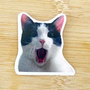 Shocked Cat Meme Sticker, Funny Cat Sticker, Funny Waterproof Sticker Decal For Laptop, Luggage, Water Bottle, Phone Case
