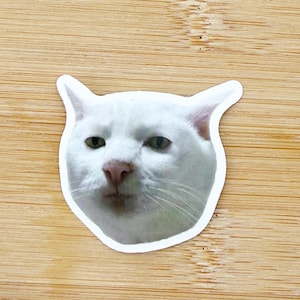 Cat Face Meme Sticker, Funny Cat Sticker, Funny Waterproof Sticker Decal For Laptop, Luggage, Water Bottle, Phone Case
