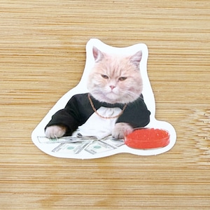 Money Cat Meme Sticker, Funny Cat Sticker, Funny Waterproof Sticker Decal For Laptop, Luggage, Water Bottle, Phone Case