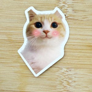 Blushing Cat Meme Sticker, Funny Cat Sticker, Funny Waterproof Sticker Decal For Laptop, Luggage, Water Bottle, Phone Case