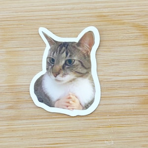 Funny Hand Cat Meme Sticker, Funny Cat Sticker, Funny Waterproof Sticker Decal For Laptop, Luggage, Water Bottle, Phone Case