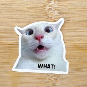 What? Funny Cat Meme Sticker, Funny Cat Sticker, Funny Waterproof Sticker Decal For Laptop, Luggage, Water Bottle, Phone Case