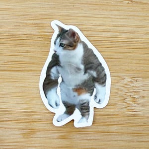 Buff Cat Meme Sticker, Funny Cat Sticker, Funny Waterproof Sticker Decal For Laptop, Luggage, Water Bottle, Phone Case