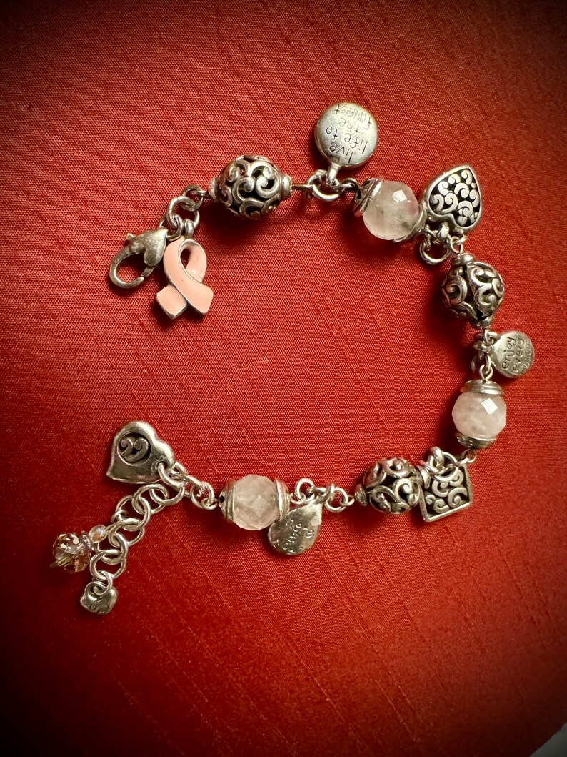 Silver Breast Cancer Charm Bracelet, Lobster Claw Clasp image 1