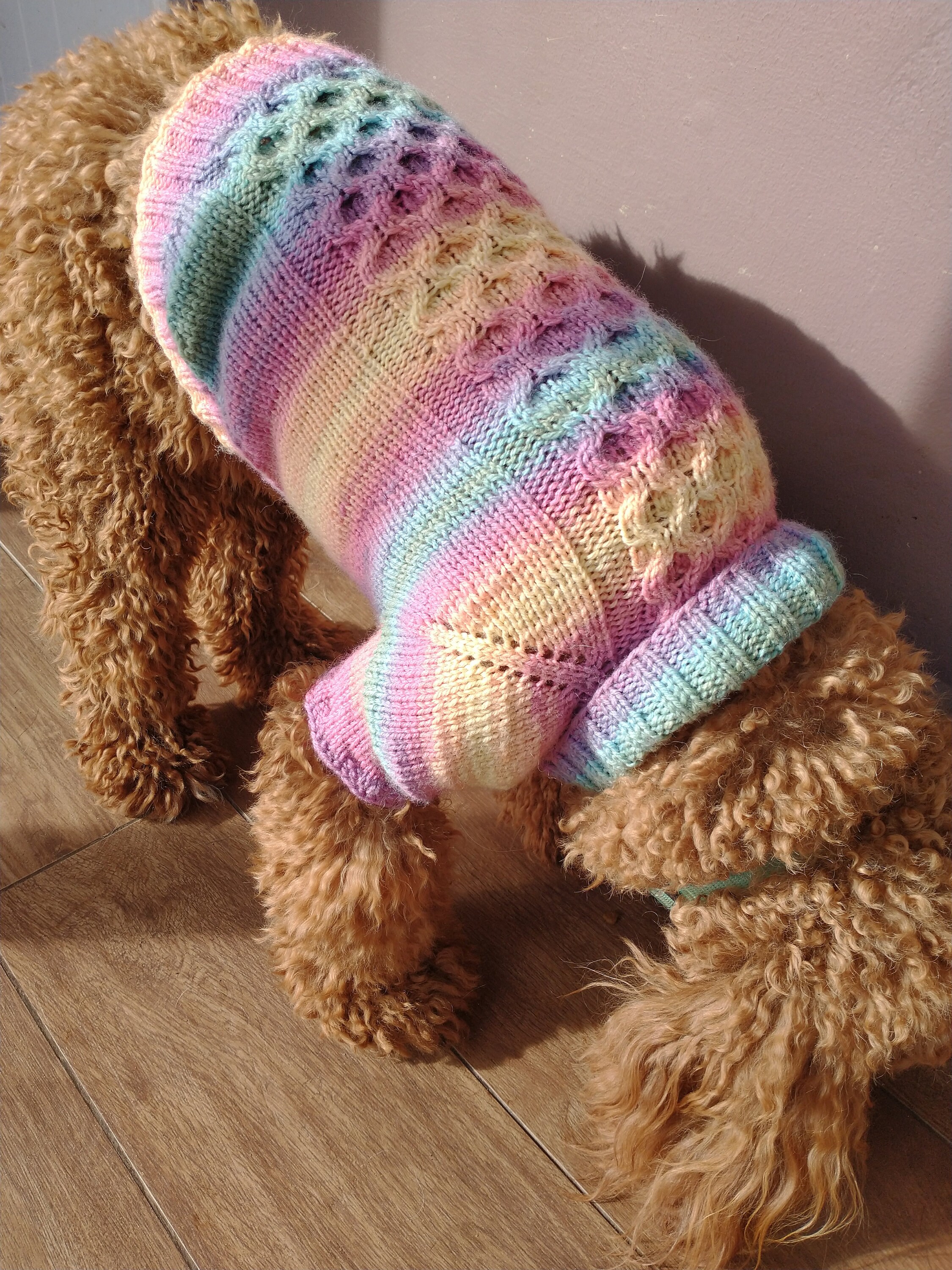 Does A Sweater Keep A Dog Warm