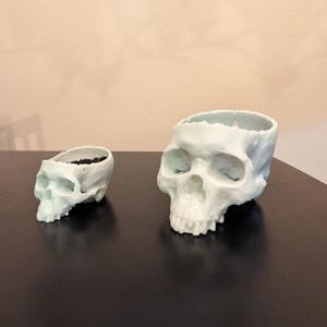 May include: Two white ceramic skull planters, one larger than the other, with a small amount of dark brown soil in the smaller planter.