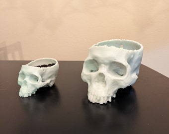 Maceta de calavera humana que brilla en la oscuridad - Decoración PLA impresa en 3D