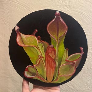 geometric succulent Gift Geometric Matte Pot w/ Cactus or Succulent main image 0