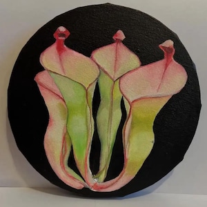 Oil Painting Spider Plant Live - Etsy