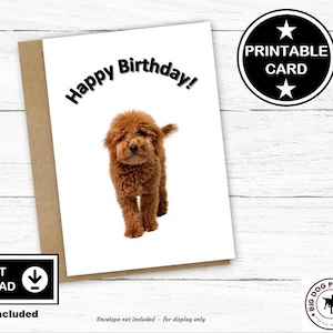 Cartão de aniversário de cachorro Doodle para impressão, cartão de cachorro, download digital para impressão em casa Cartão comemorativo para impressão inclui cartão de nota A2 e tamanho 5 "x 7"